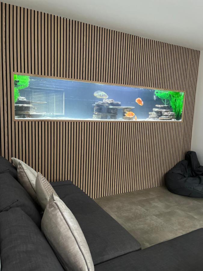 Terfyn Hall Aquarium Apartment 1 普利斯坦丁 外观 照片