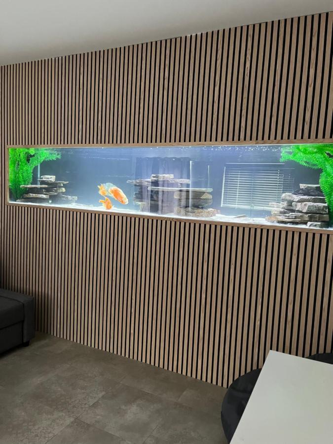 Terfyn Hall Aquarium Apartment 1 普利斯坦丁 外观 照片