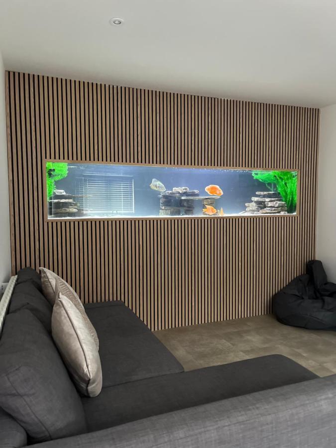 Terfyn Hall Aquarium Apartment 1 普利斯坦丁 外观 照片