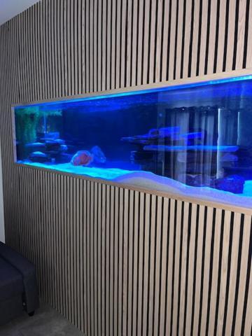 Terfyn Hall Aquarium Apartment 1 普利斯坦丁 外观 照片